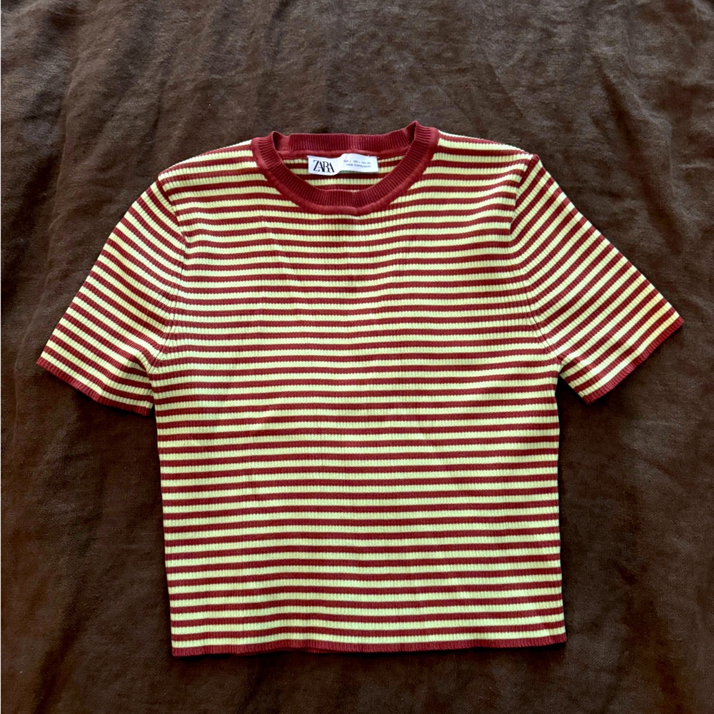 ZARA knit crop top